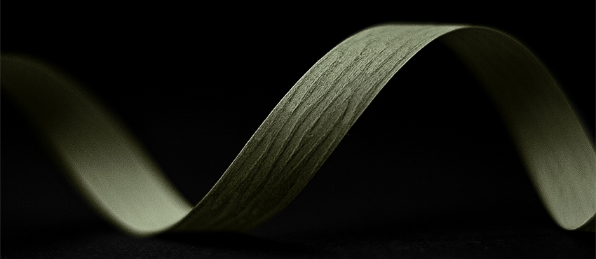 Nr. 555 petrol