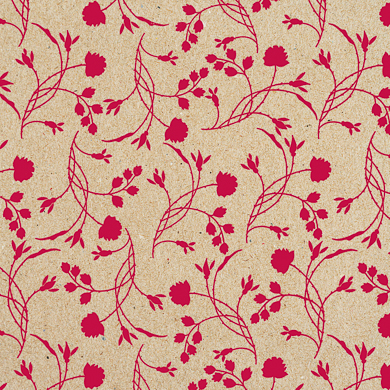 Erba fuchsia